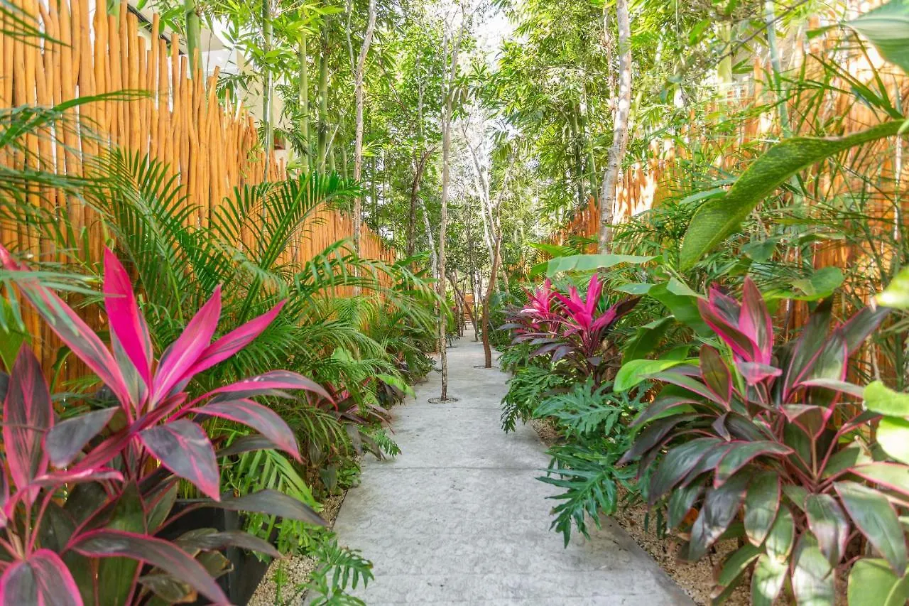 Atman Residences Tulum Mexico